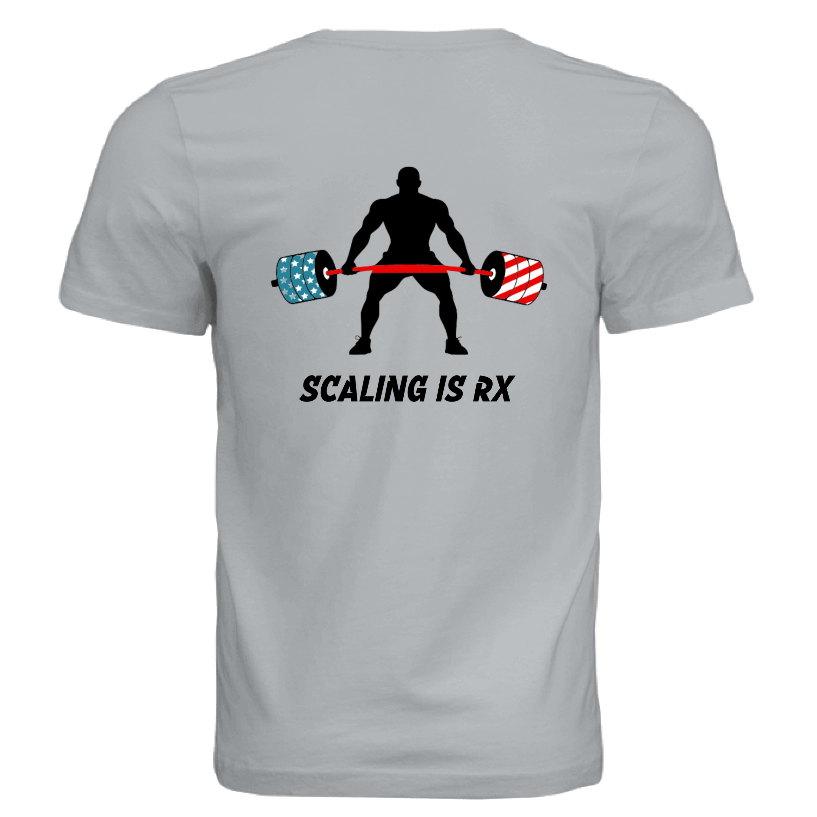 Solid Silver Triblend - BACK